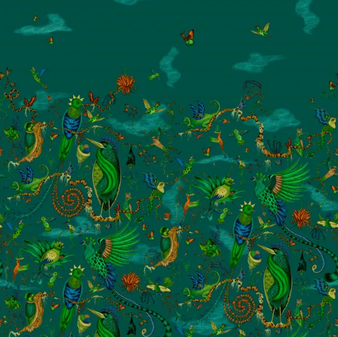 Emma J Shipley | Cloud