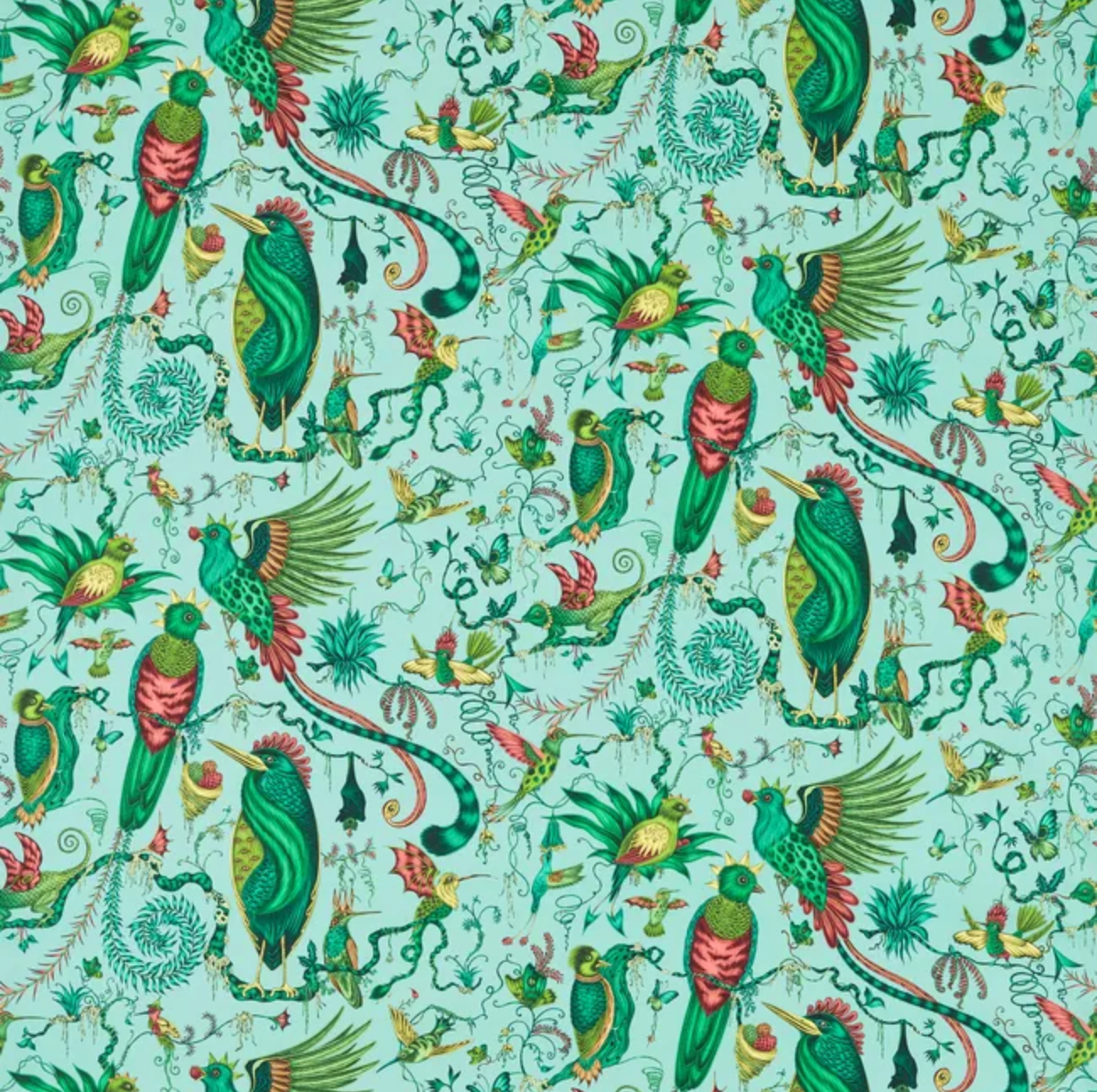 Emma J Shipley | Quetzal