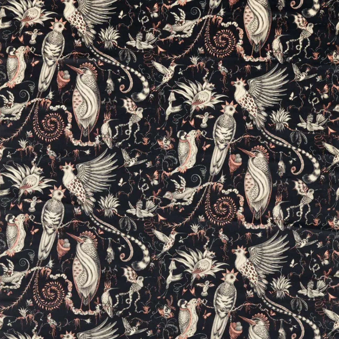 Emma J Shipley | Quetzal Velvet