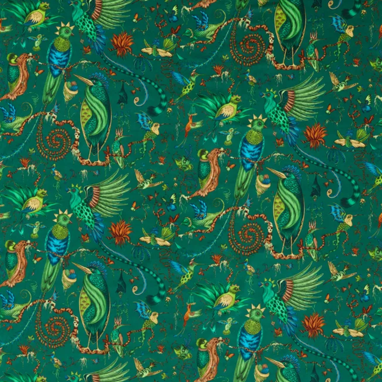 Emma J Shipley | Quetzal Velvet