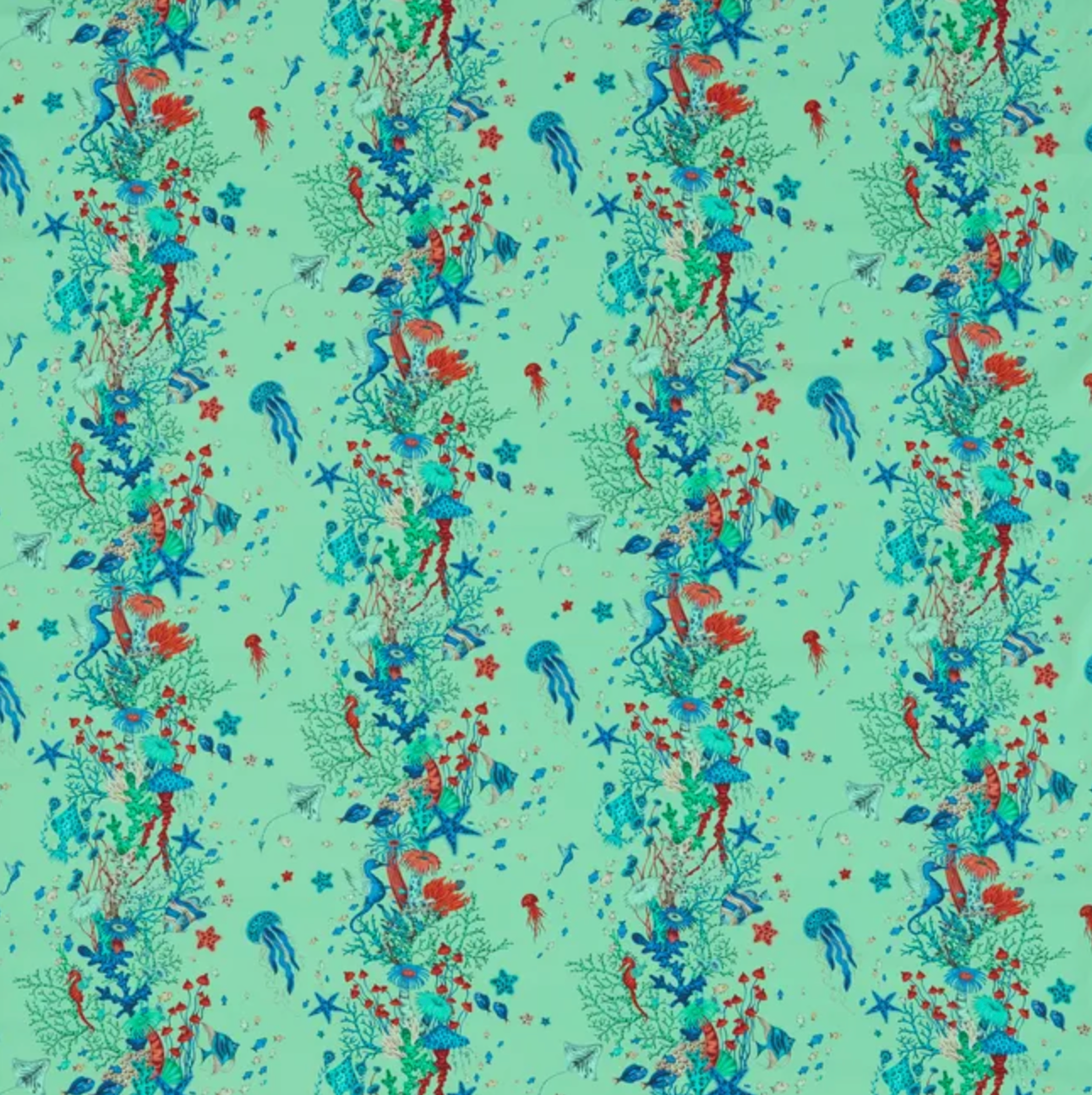 Emma J Shipley | Seaforest