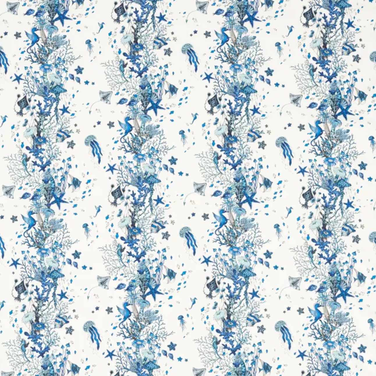 Emma J Shipley | Seaforest