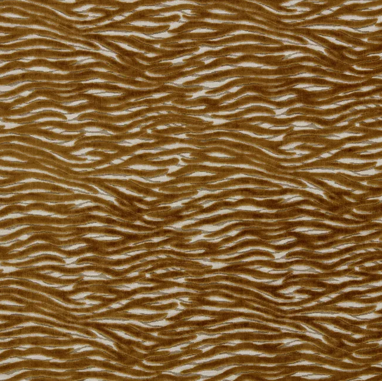 Emma J Shipley | Wildstripe