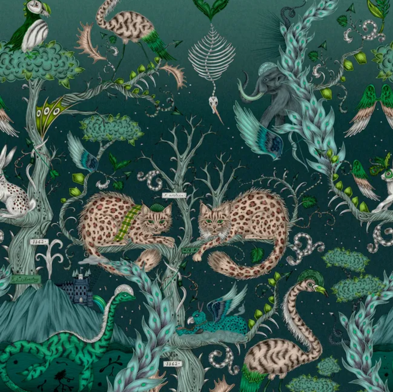 Emma J Shipley | Highland