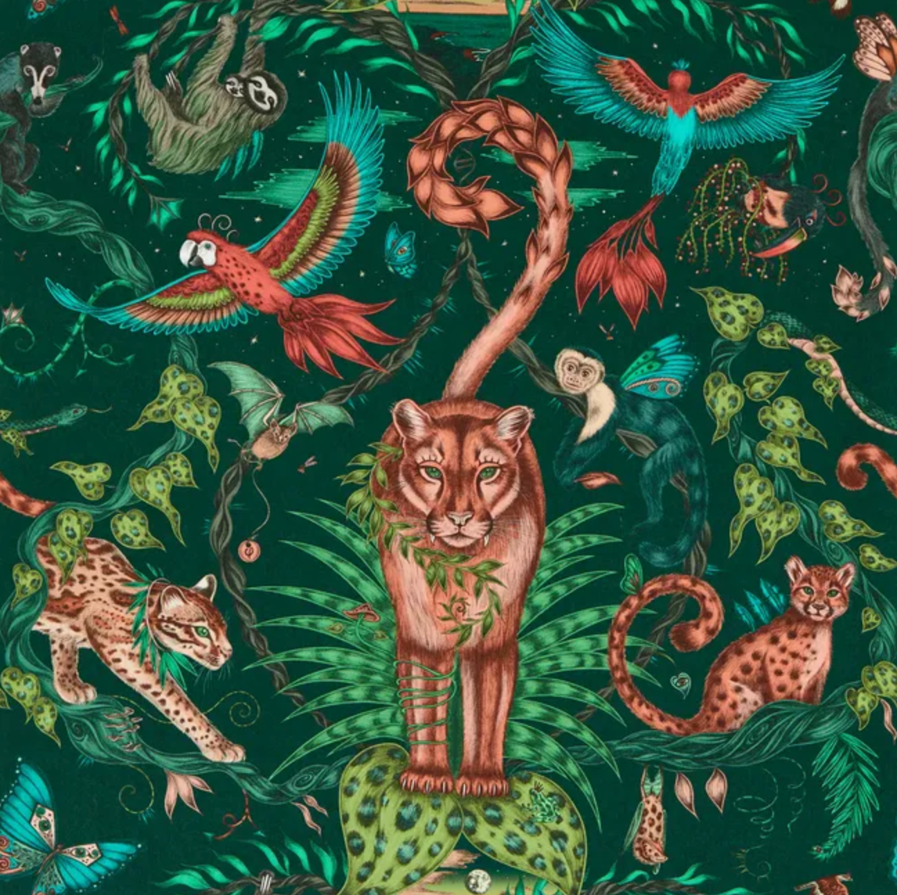 Emma J Shipley | Bosque Dreams