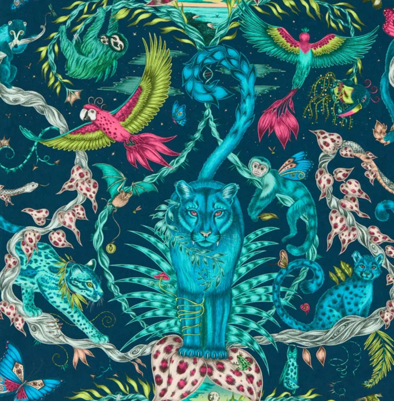 Emma J Shipley | Bosque Dreams