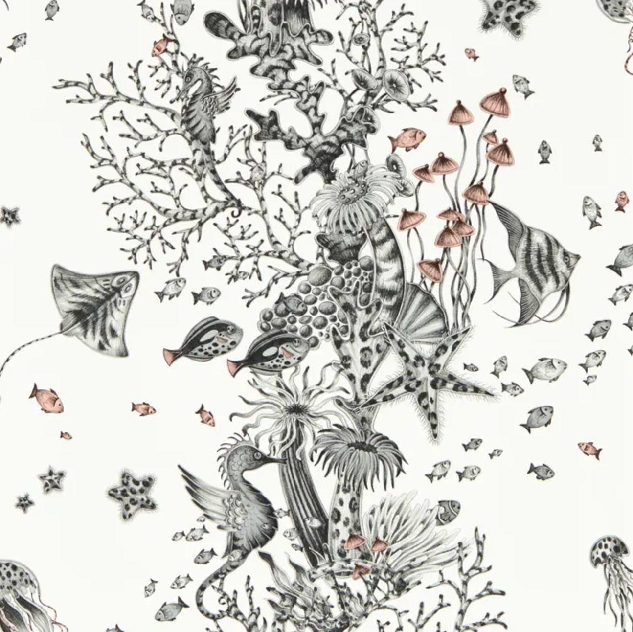 Emma J Shipley | Seaforest