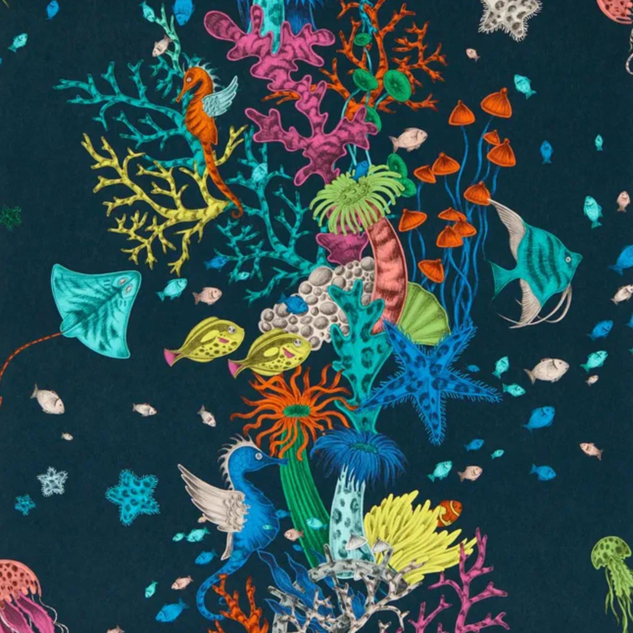 Emma J Shipley | Seaforest