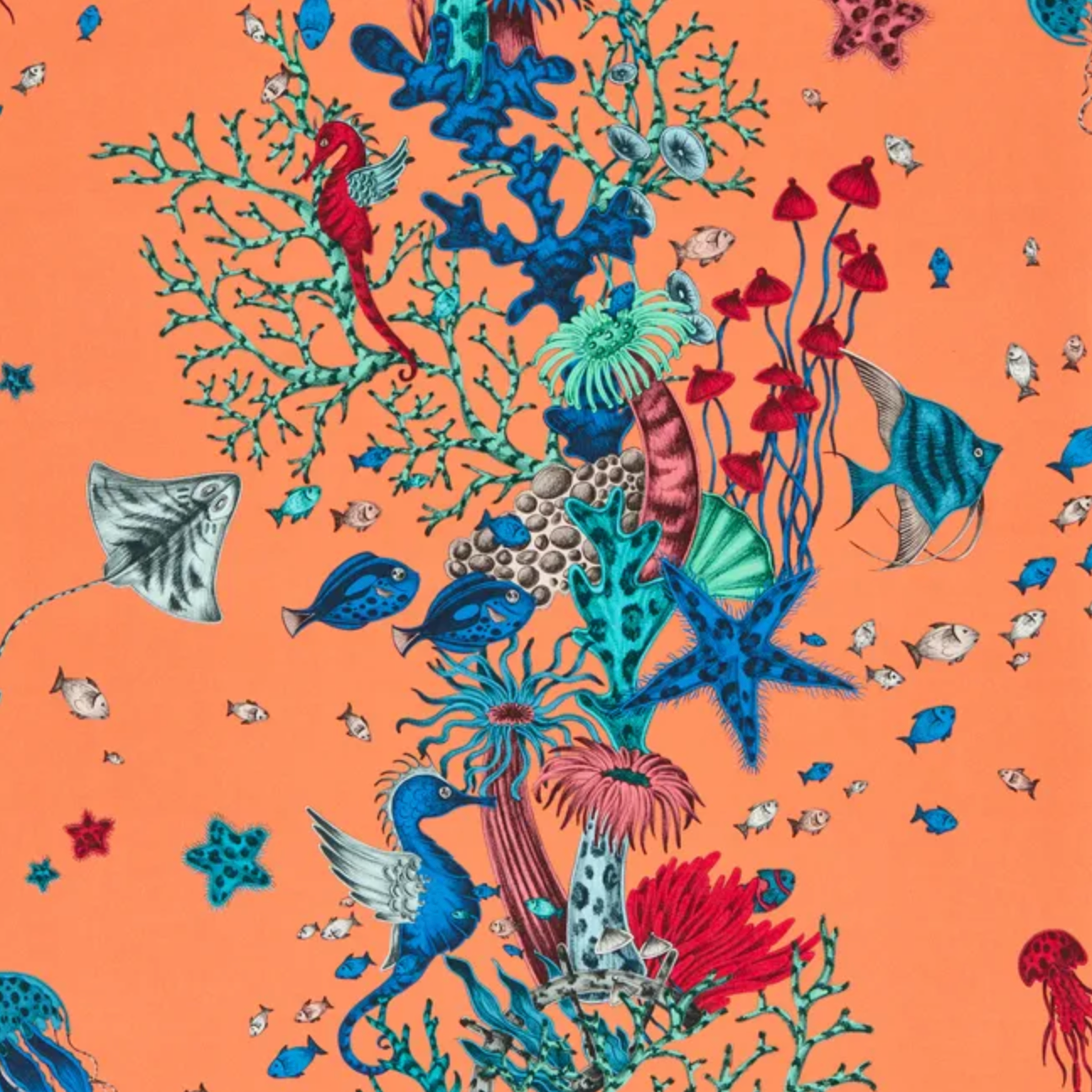 Emma J Shipley | Seaforest