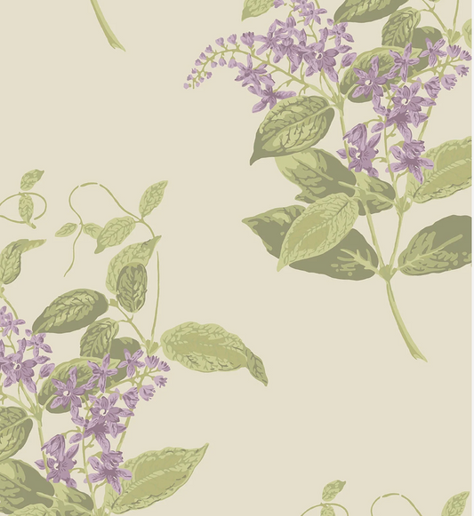 Cole & Son | Madras Violet