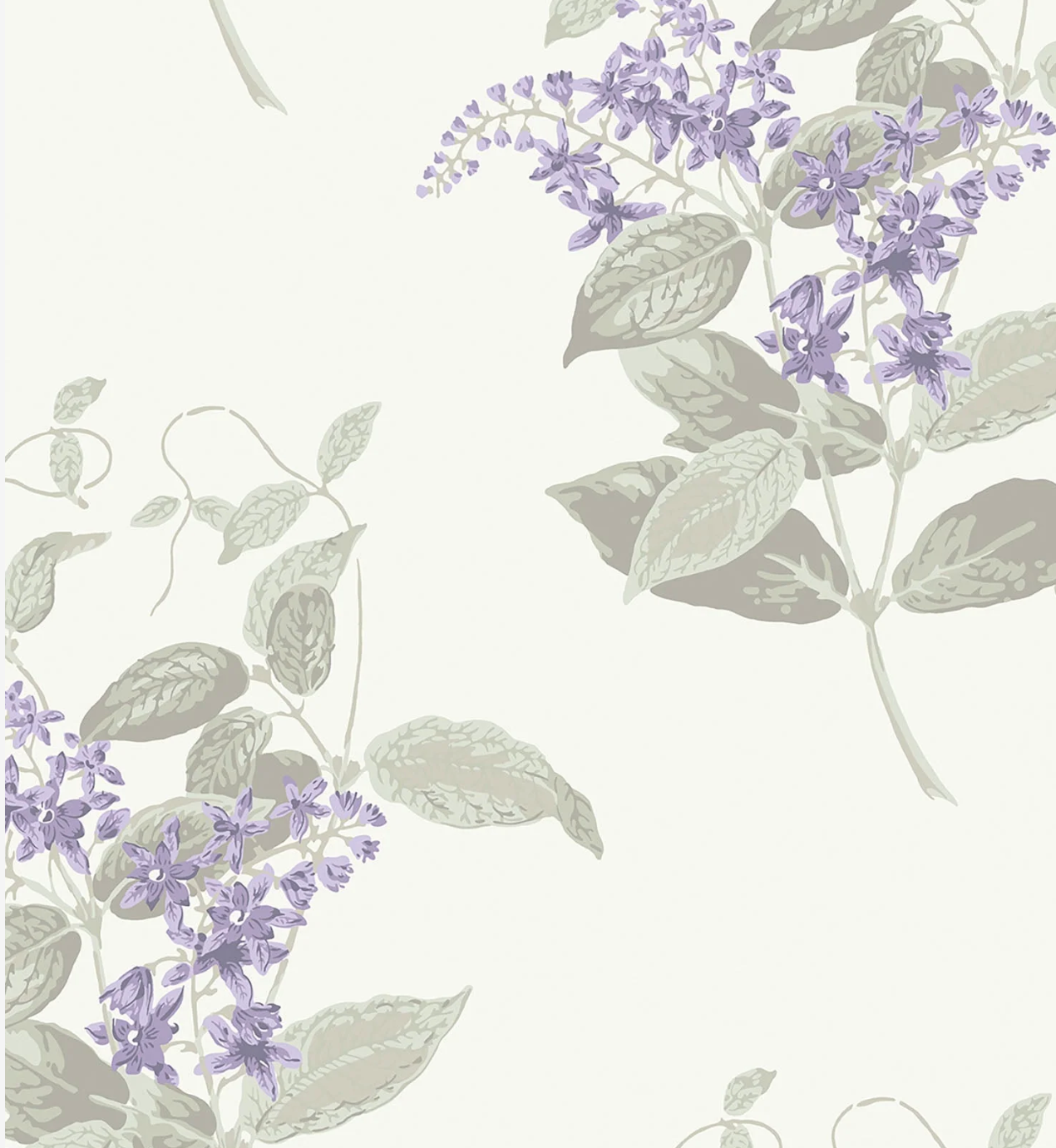 Cole & Son | Madras Violet