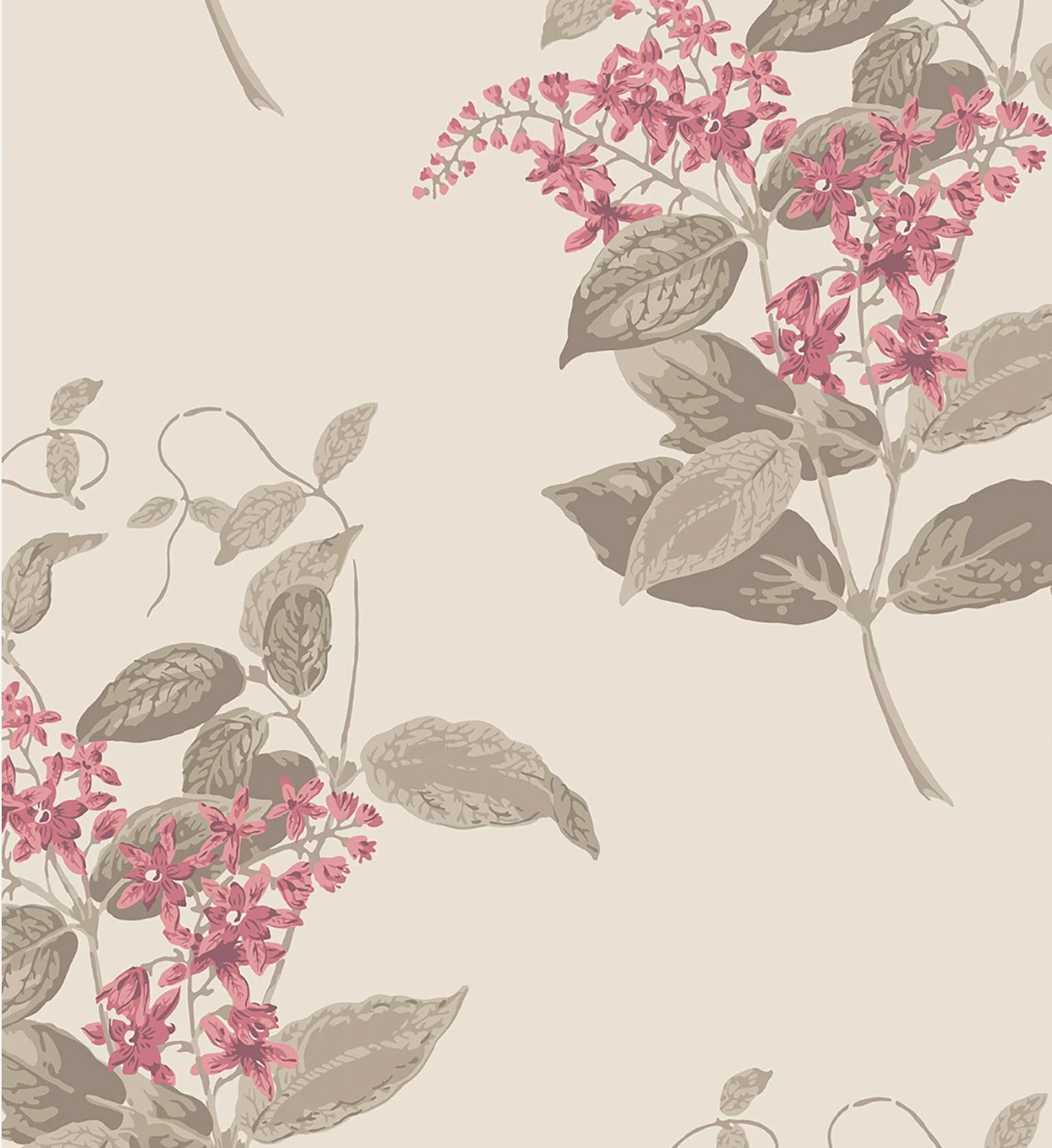 Cole & Son | Madras Violet