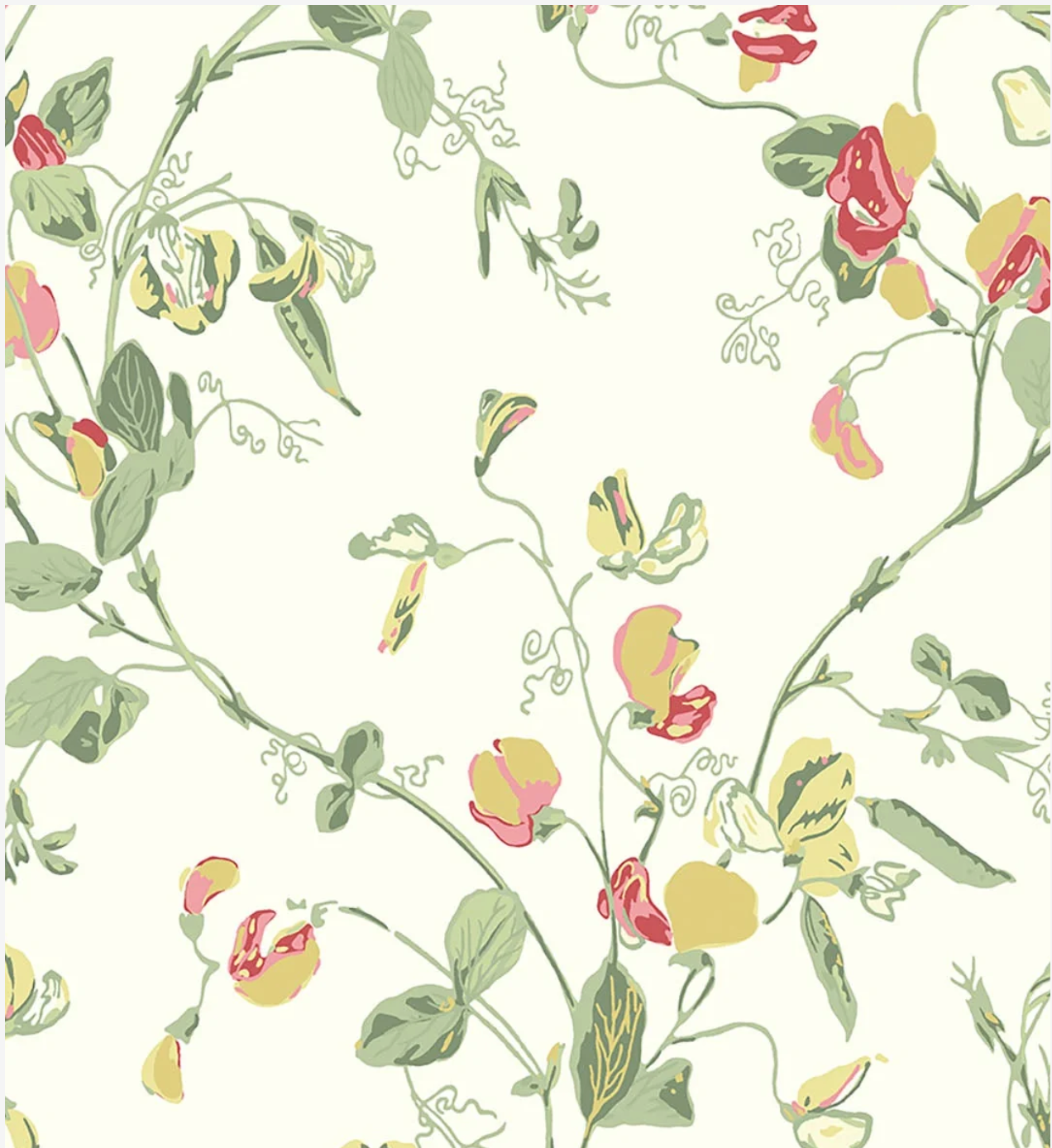 Cole & Son | Sweet Pea Archive Anthology