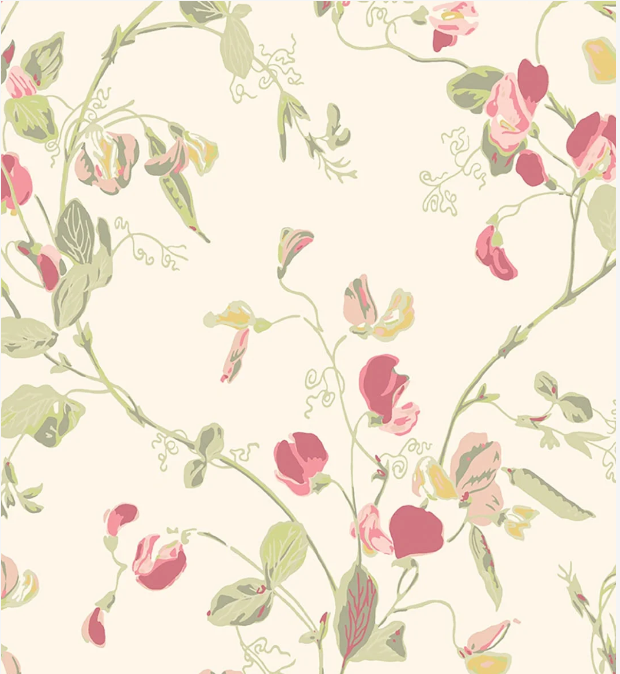 Cole & Son | Sweet Pea Archive Anthology
