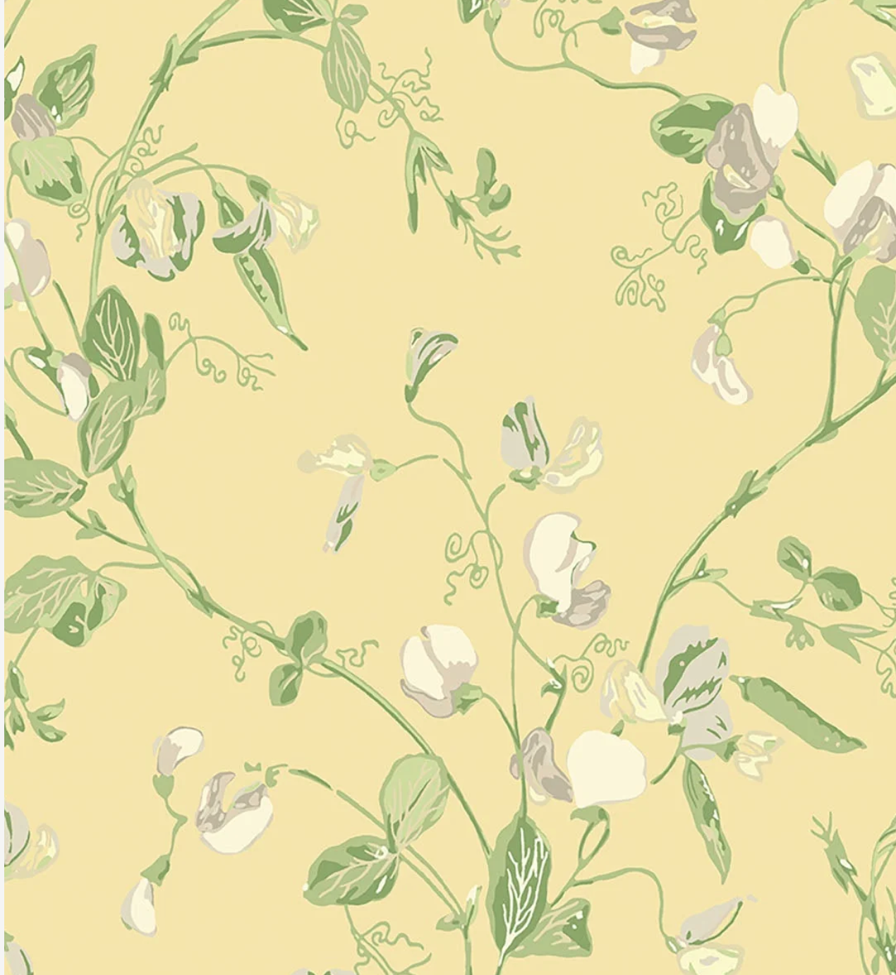 Cole & Son | Sweet Pea Archive Anthology