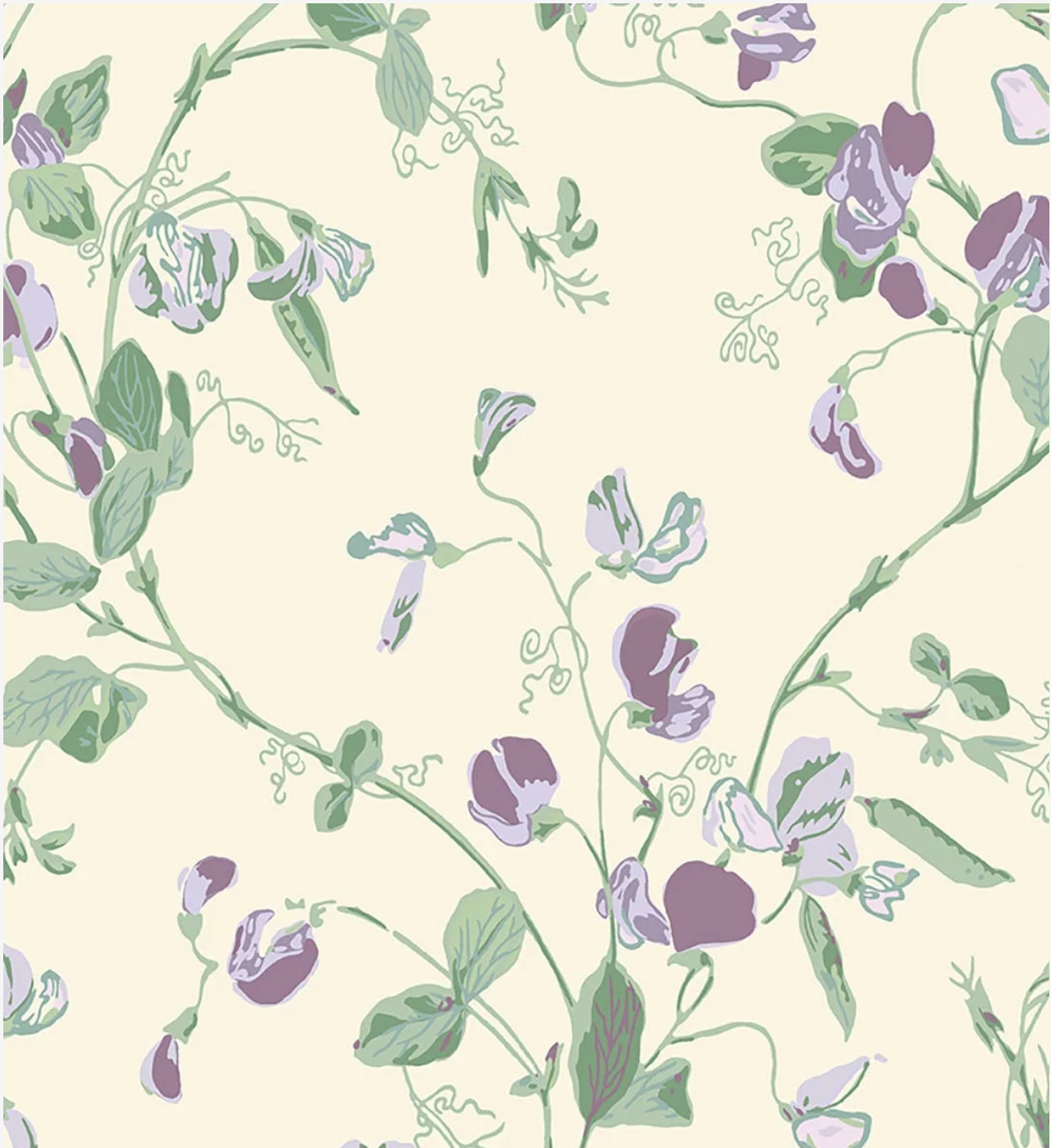 Cole & Son | Sweet Pea Archive Anthology