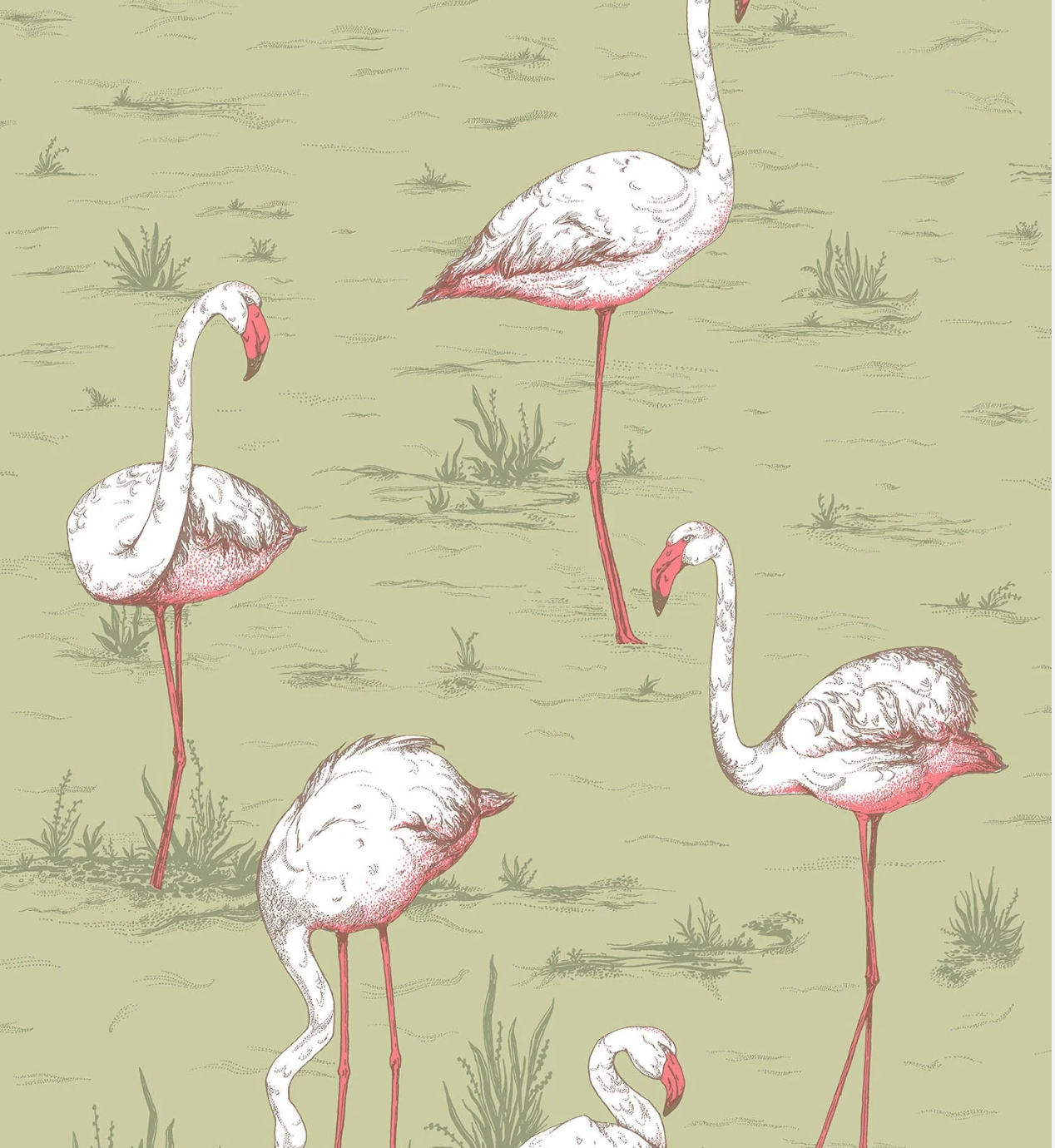 Cole & Son | Flamingos Icons