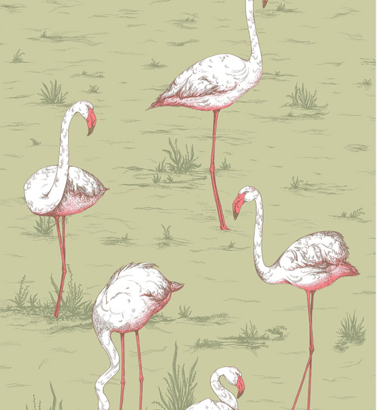 Cole & Son | Flamingos Icons