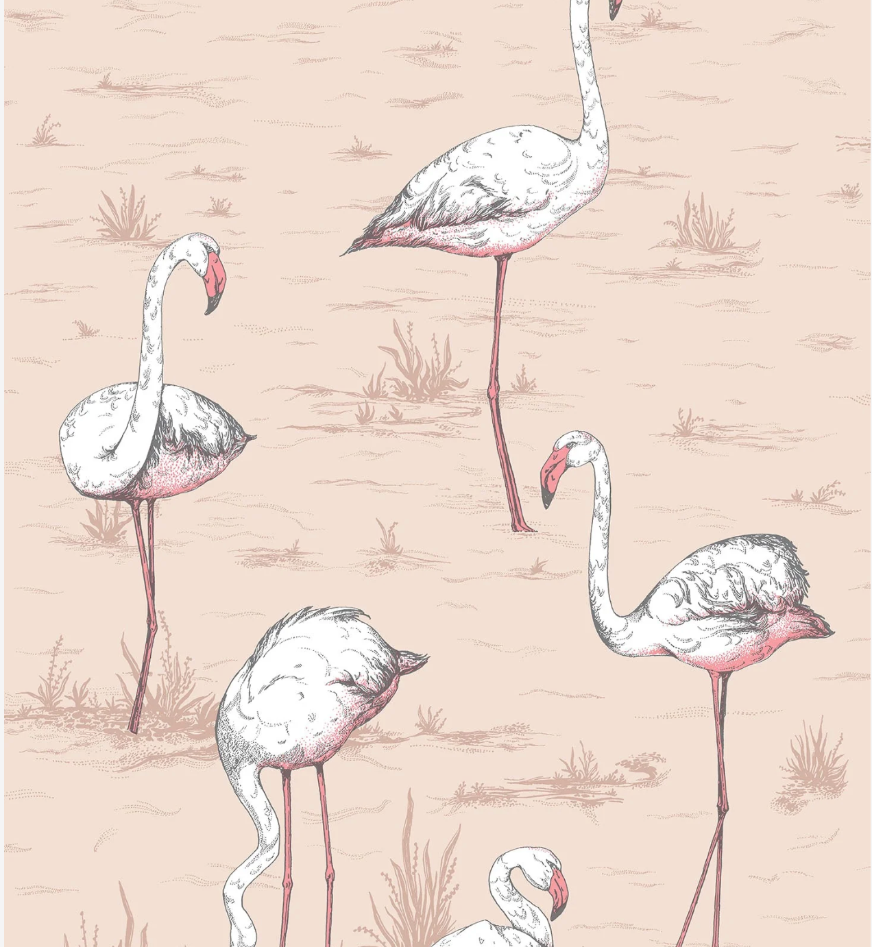 Cole & Son | Flamingos Icons