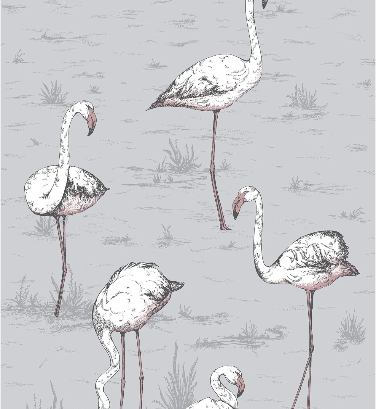 Cole & Son | Flamingos Icons