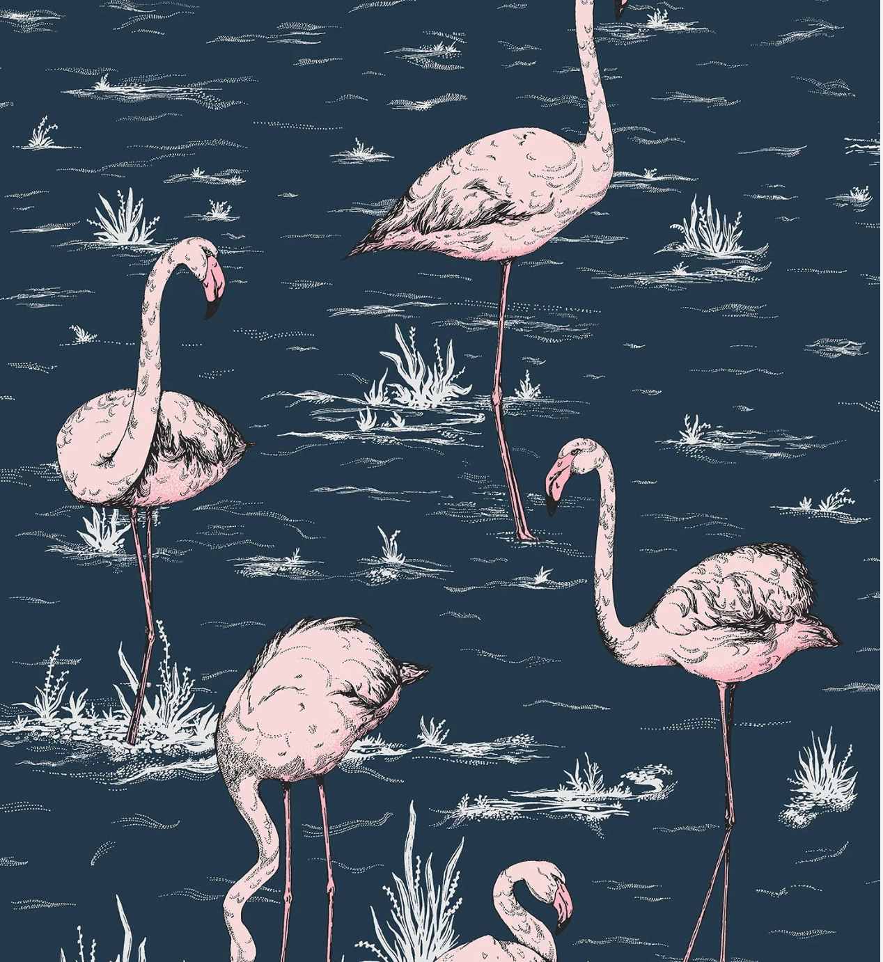 Cole & Son | Flamingos Icons