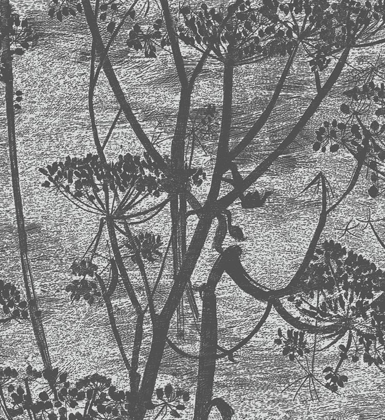 Cole & Son | Cow Parsley Icons