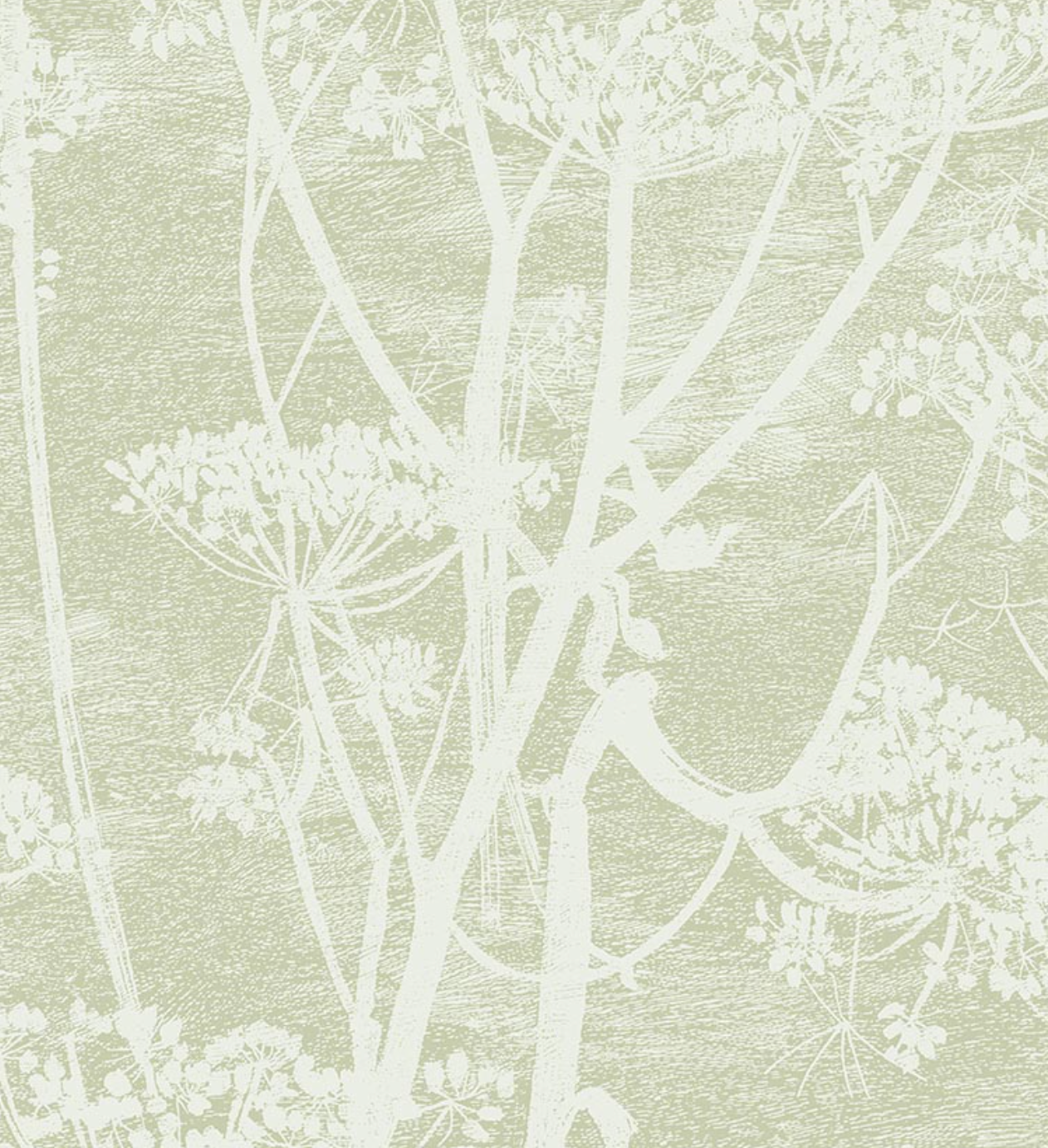 Cole & Son | Cow Parsley Icons