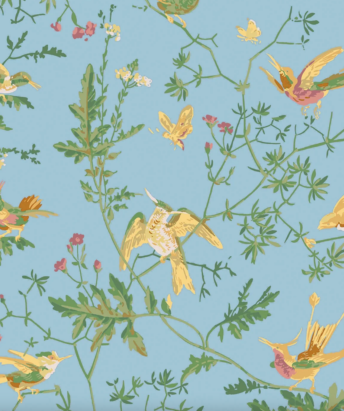 Cole & Son | Hummingbirds Cotton