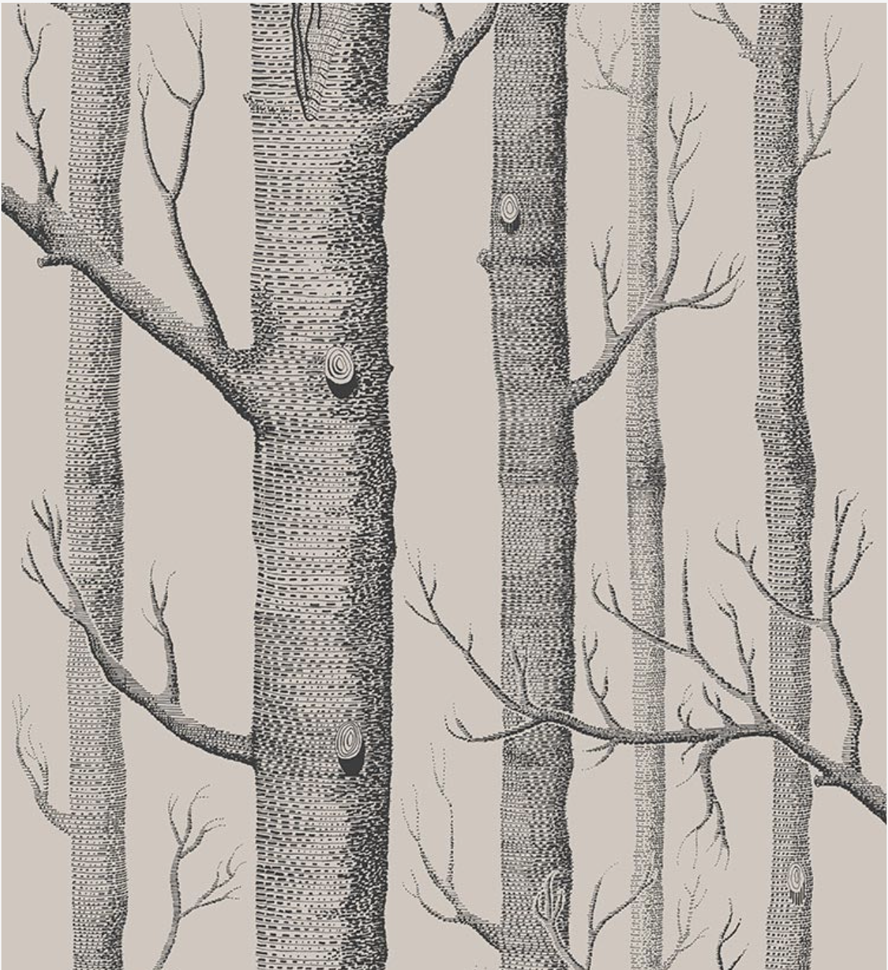 Cole & Son | Woods Icons