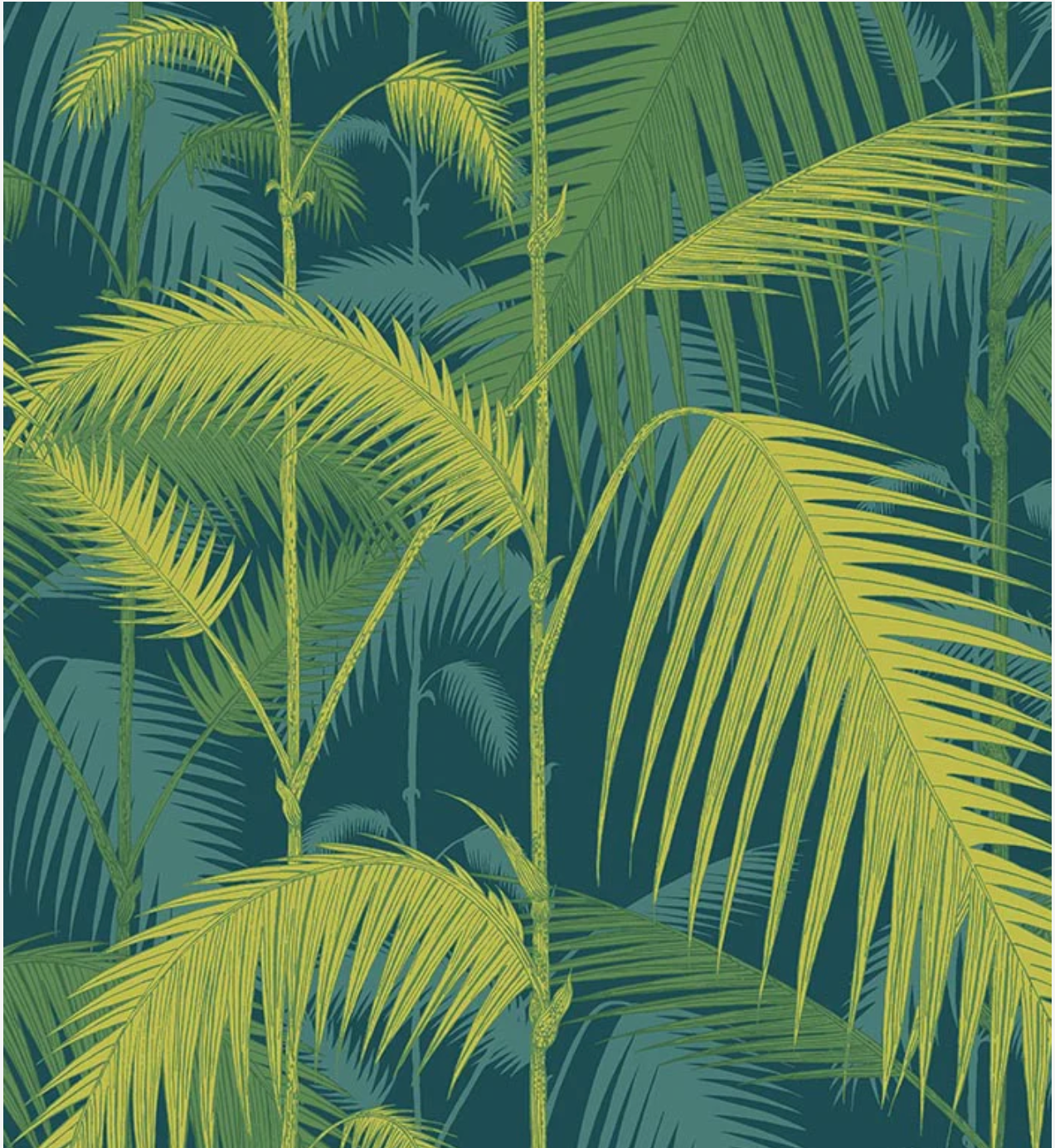 Cole & Son | Palm Jungle Icons