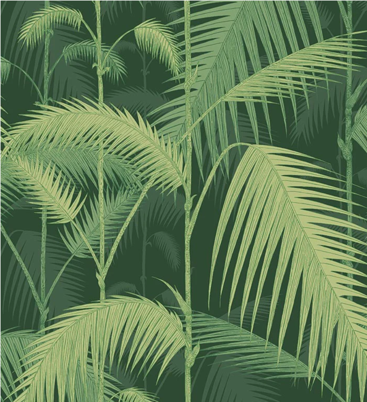 Cole & Son | Palm Jungle Icons