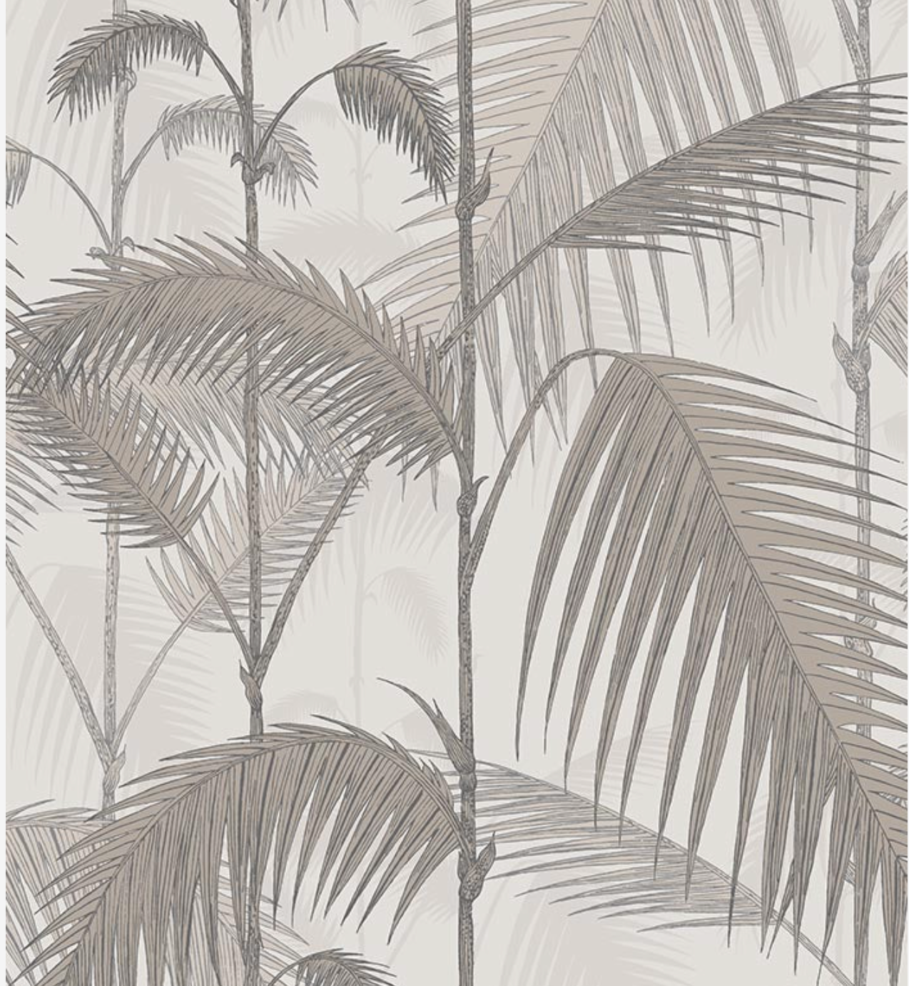 Cole & Son | Palm Jungle Icons