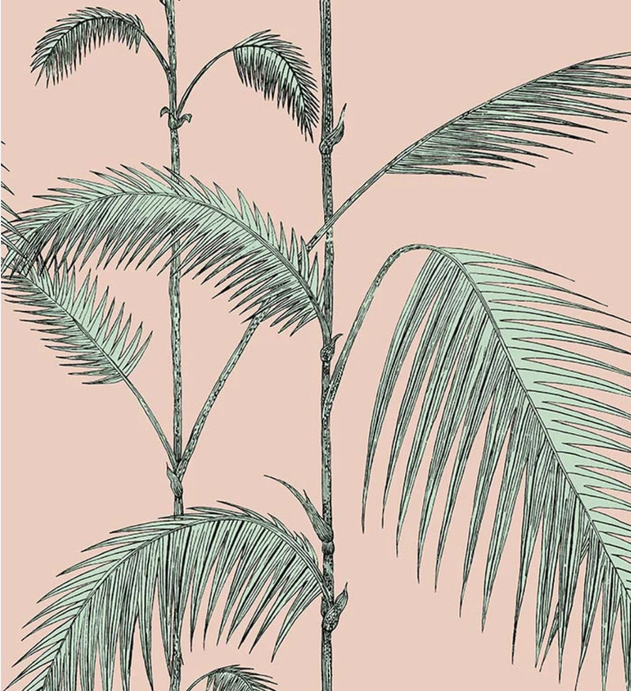 Cole & Son | Palm Leaves Icons