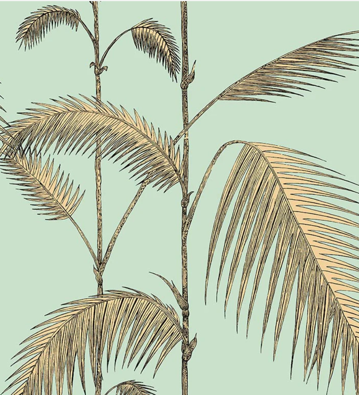 Cole & Son | Palm Leaves Icons