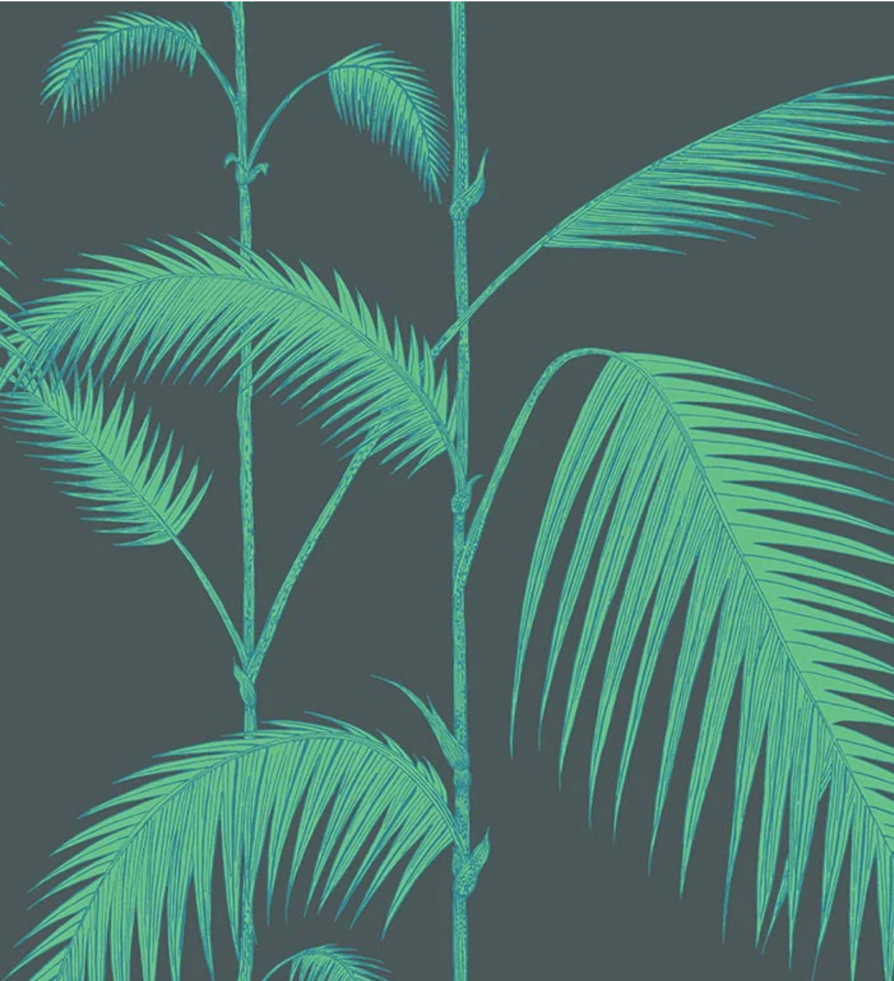 Cole & Son | Palm Leaves Icons