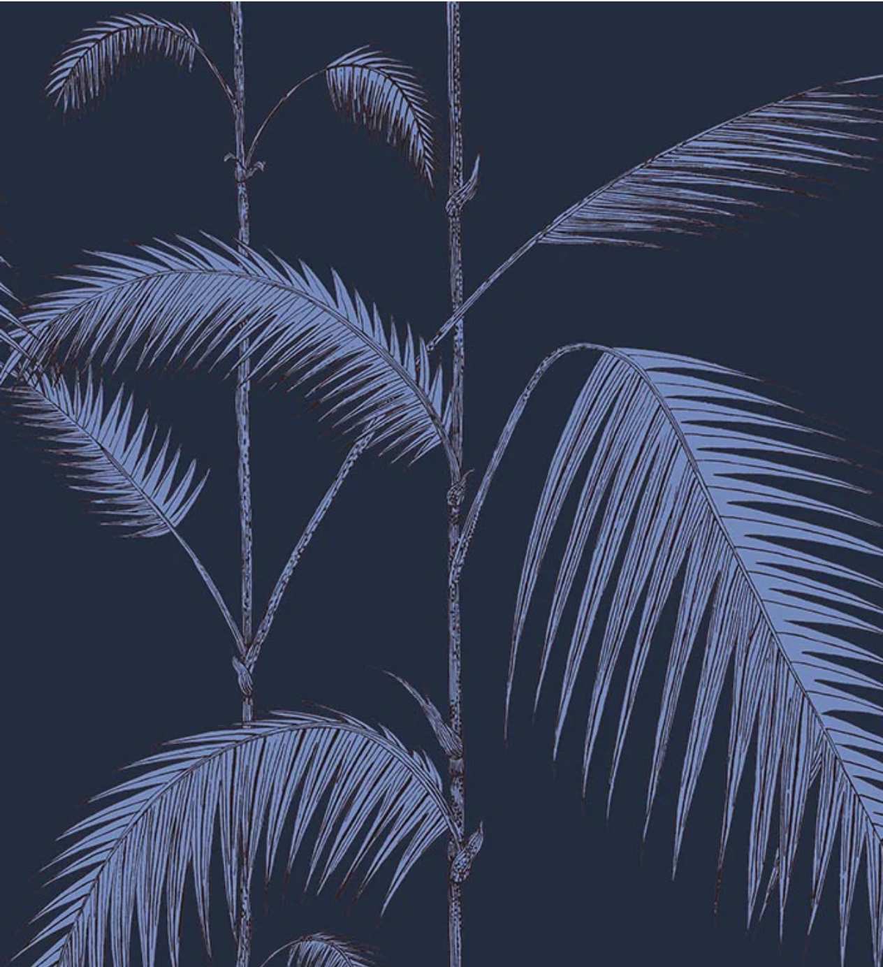Cole & Son | Palm Leaves Icons