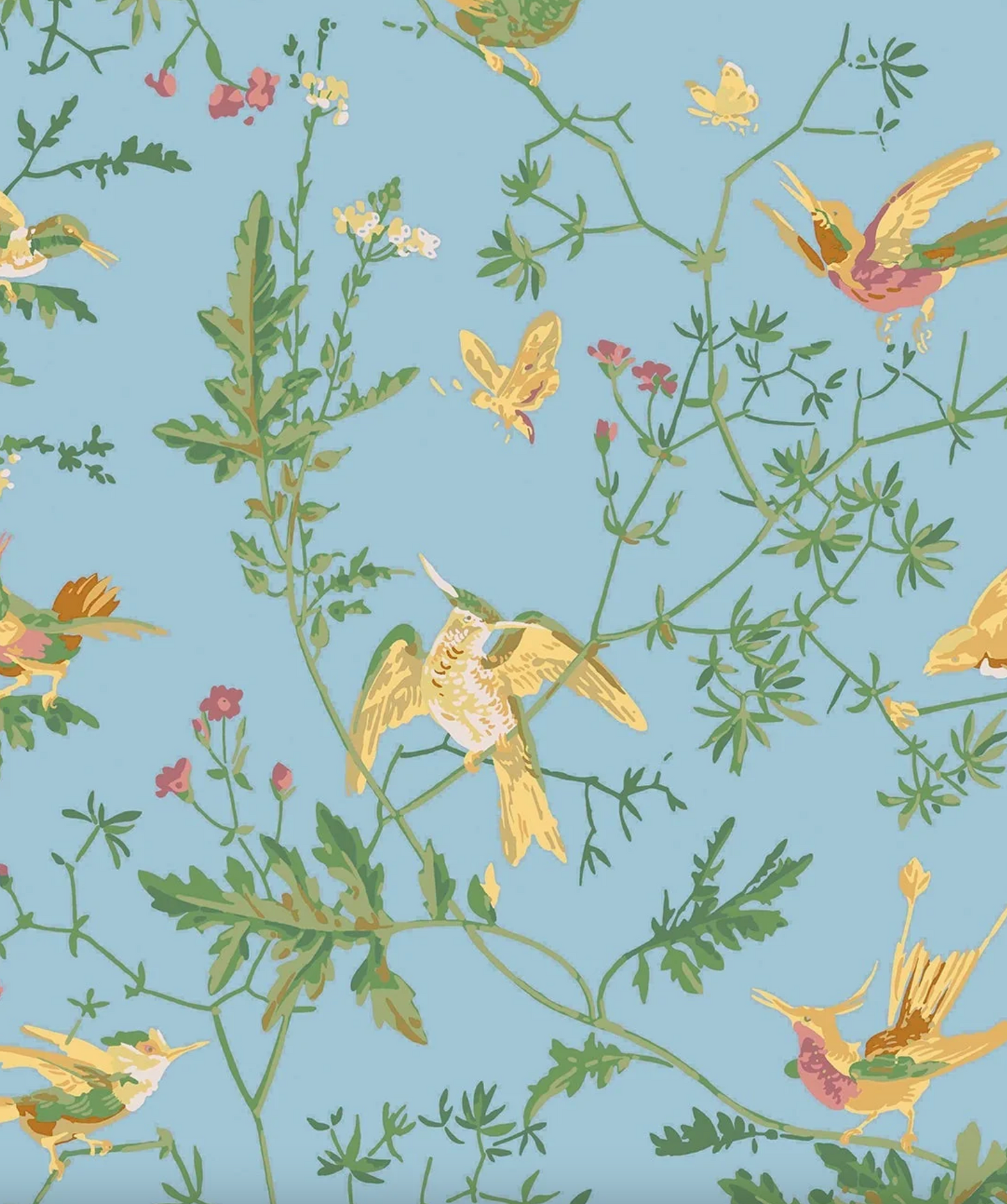 Cole & Son | Hummingbirds