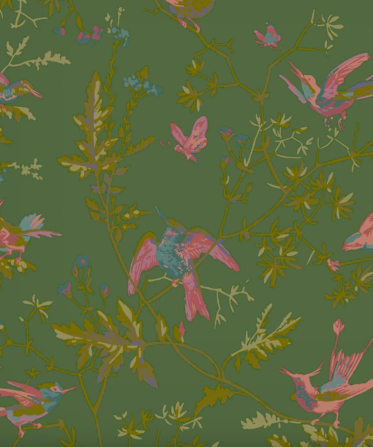 Cole & Son | Hummingbirds