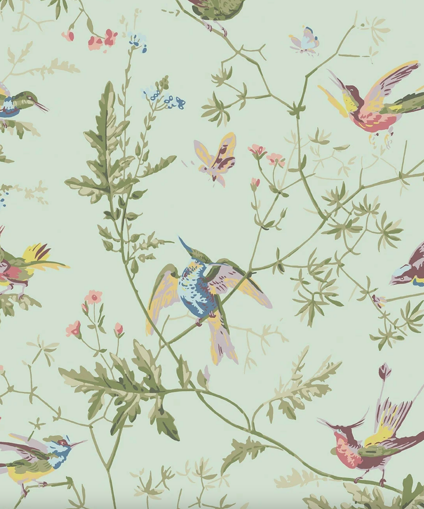Cole & Son | Hummingbirds