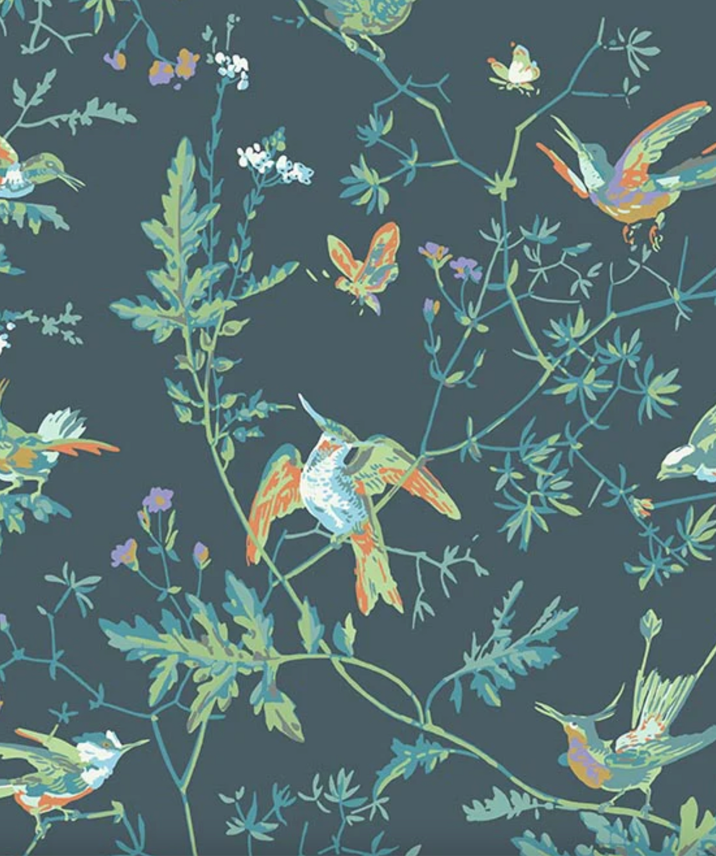 Cole & Son | Hummingbirds