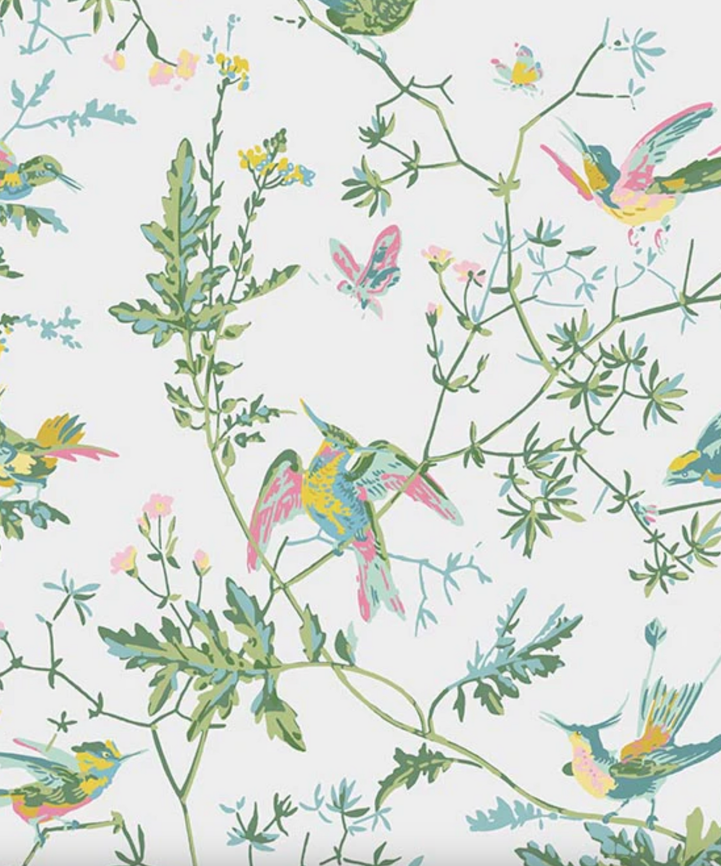 Cole & Son | Hummingbirds