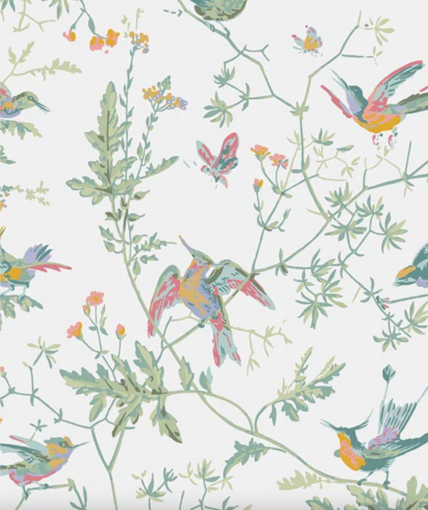 Cole & Son | Hummingbirds