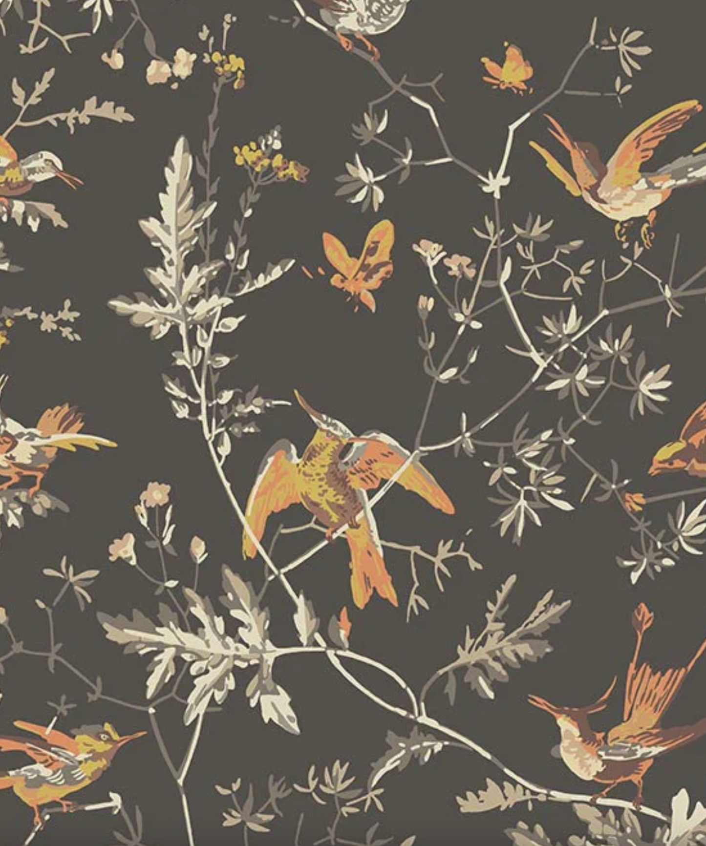Cole & Son | Hummingbirds