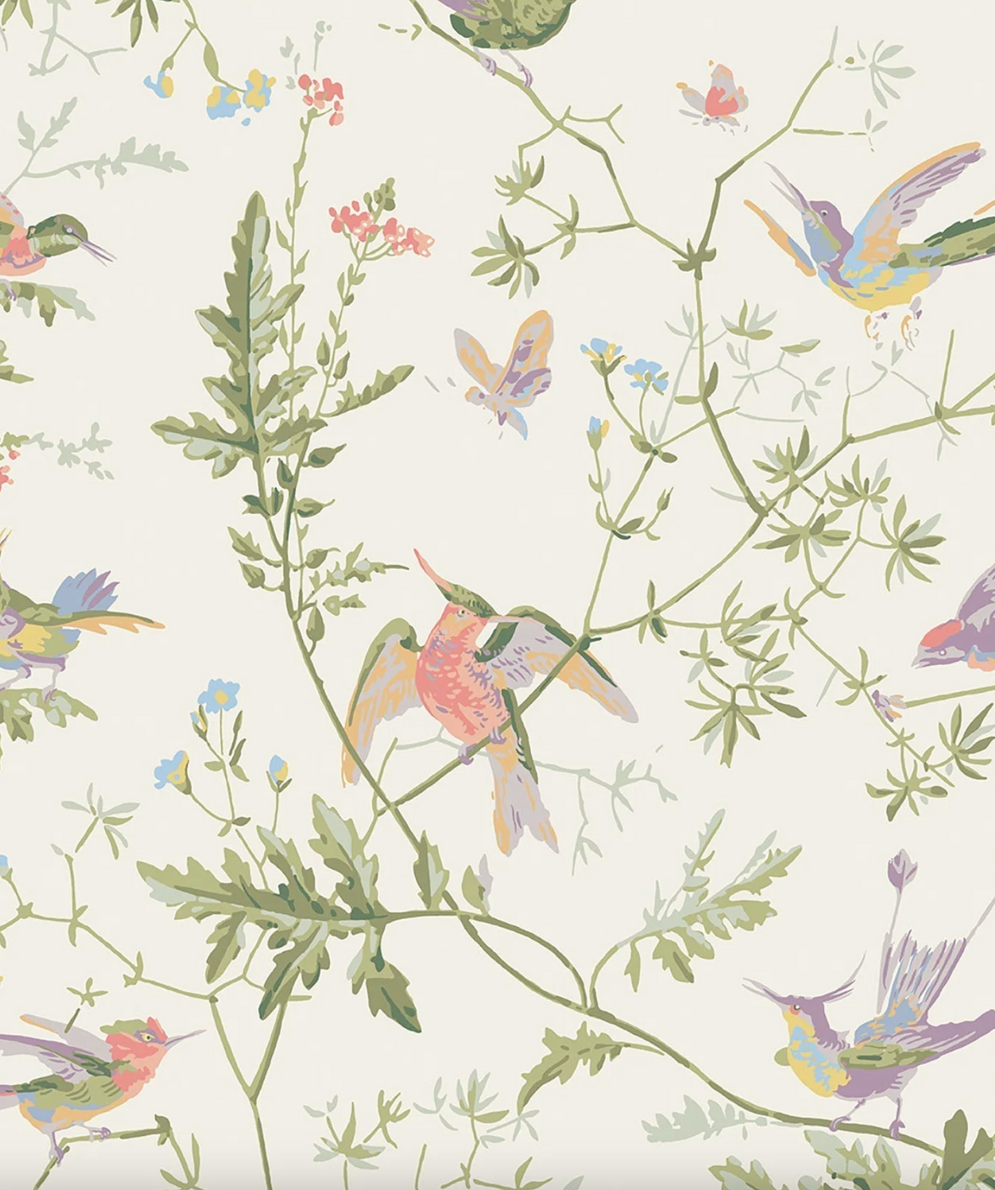 Cole & Son | Hummingbirds