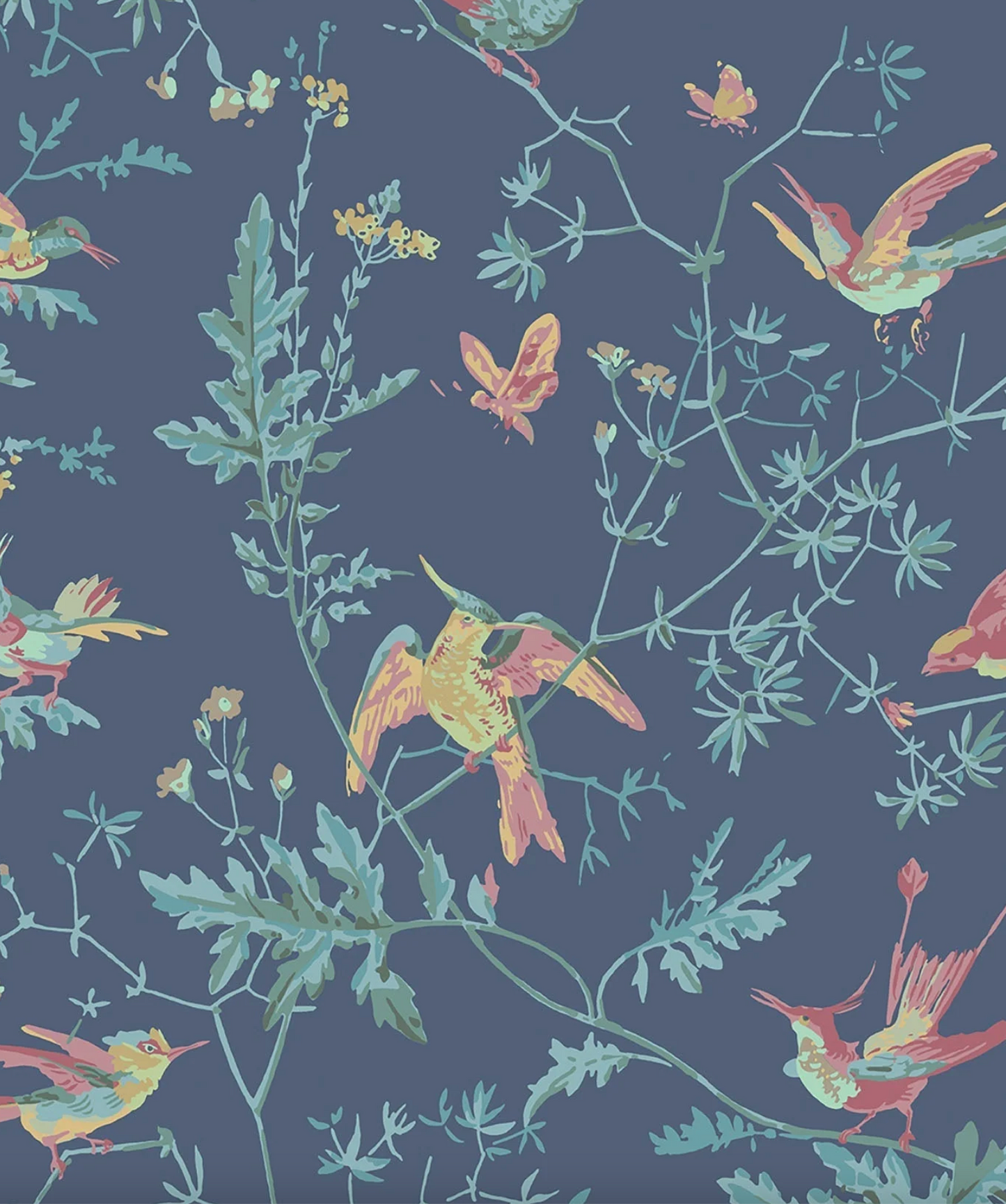 Cole & Son | Hummingbirds