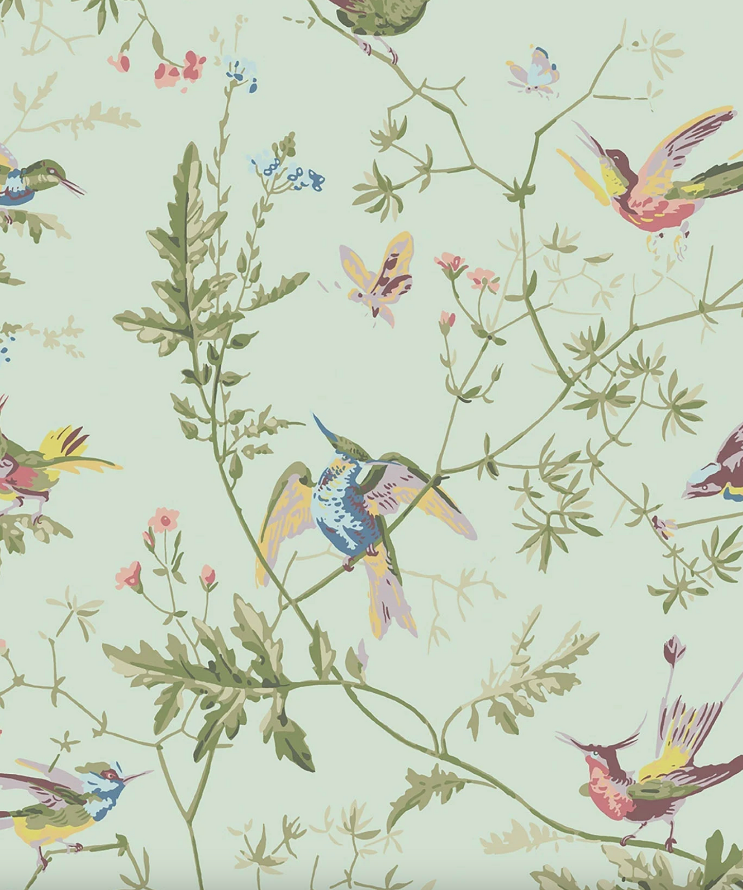Cole & Son | Hummingbirds
