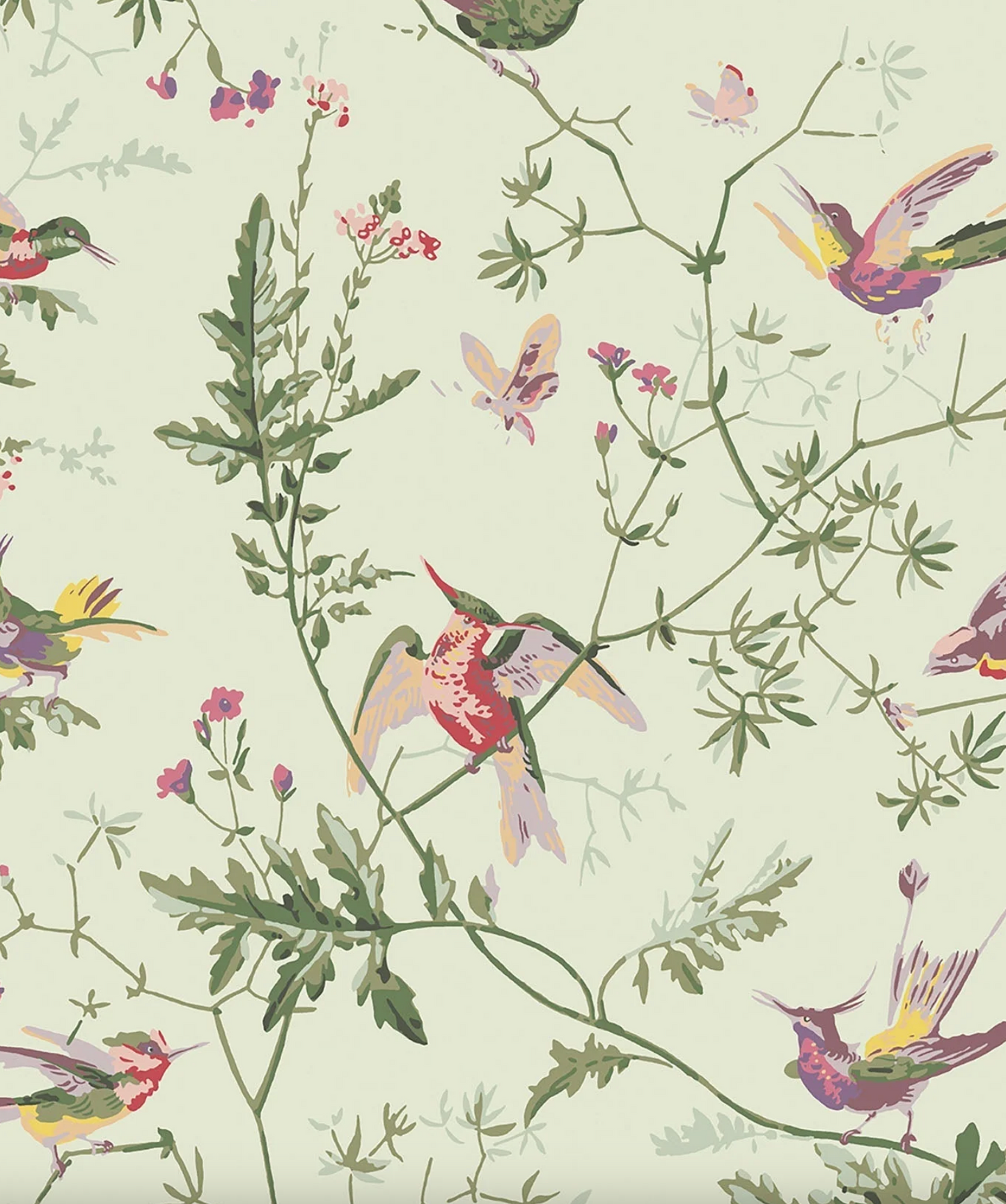 Cole & Son | Hummingbirds