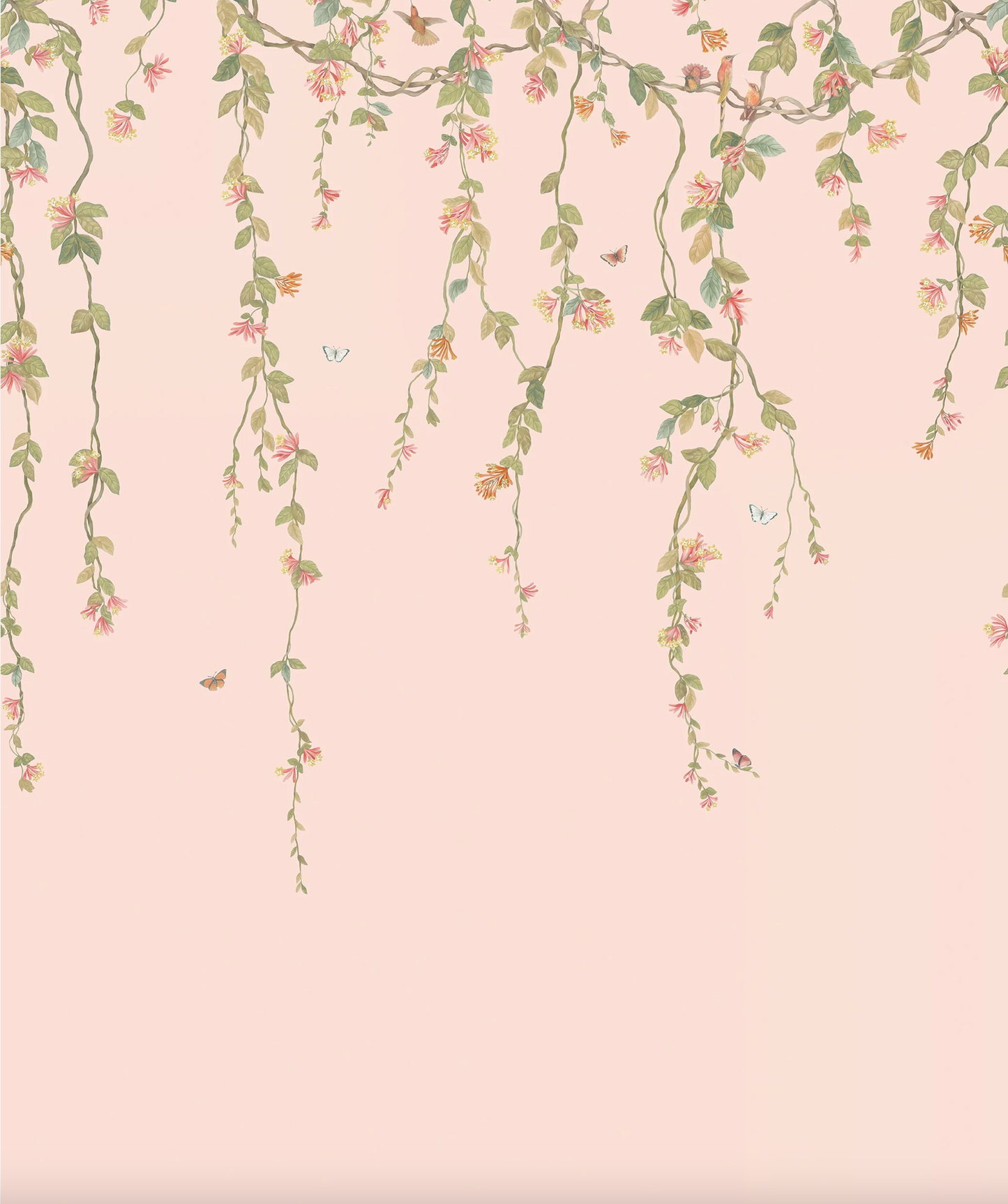 Cole & Son | Hummingbirds Flora