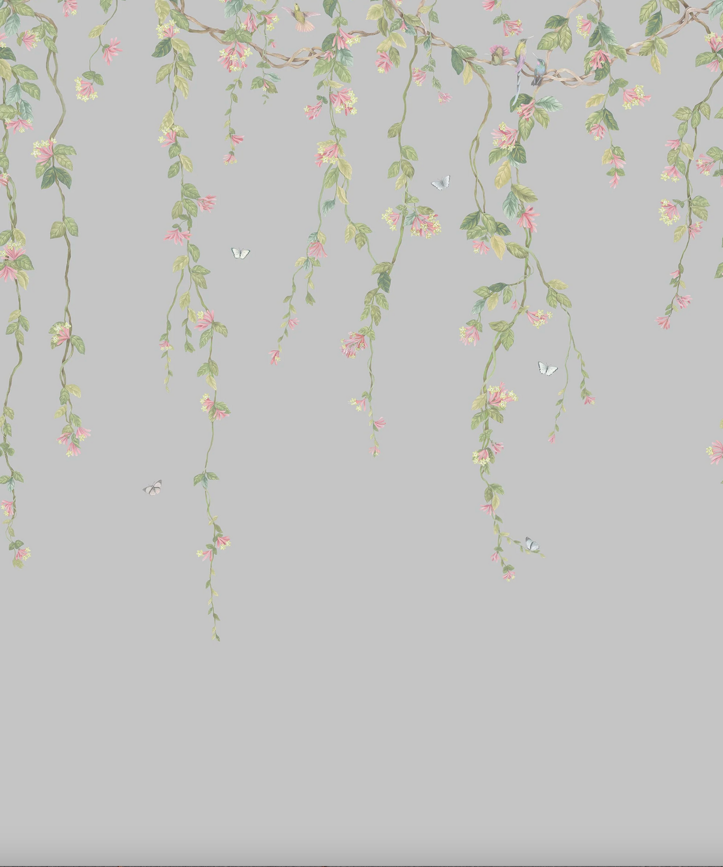 Cole & Son | Hummingbirds Flora