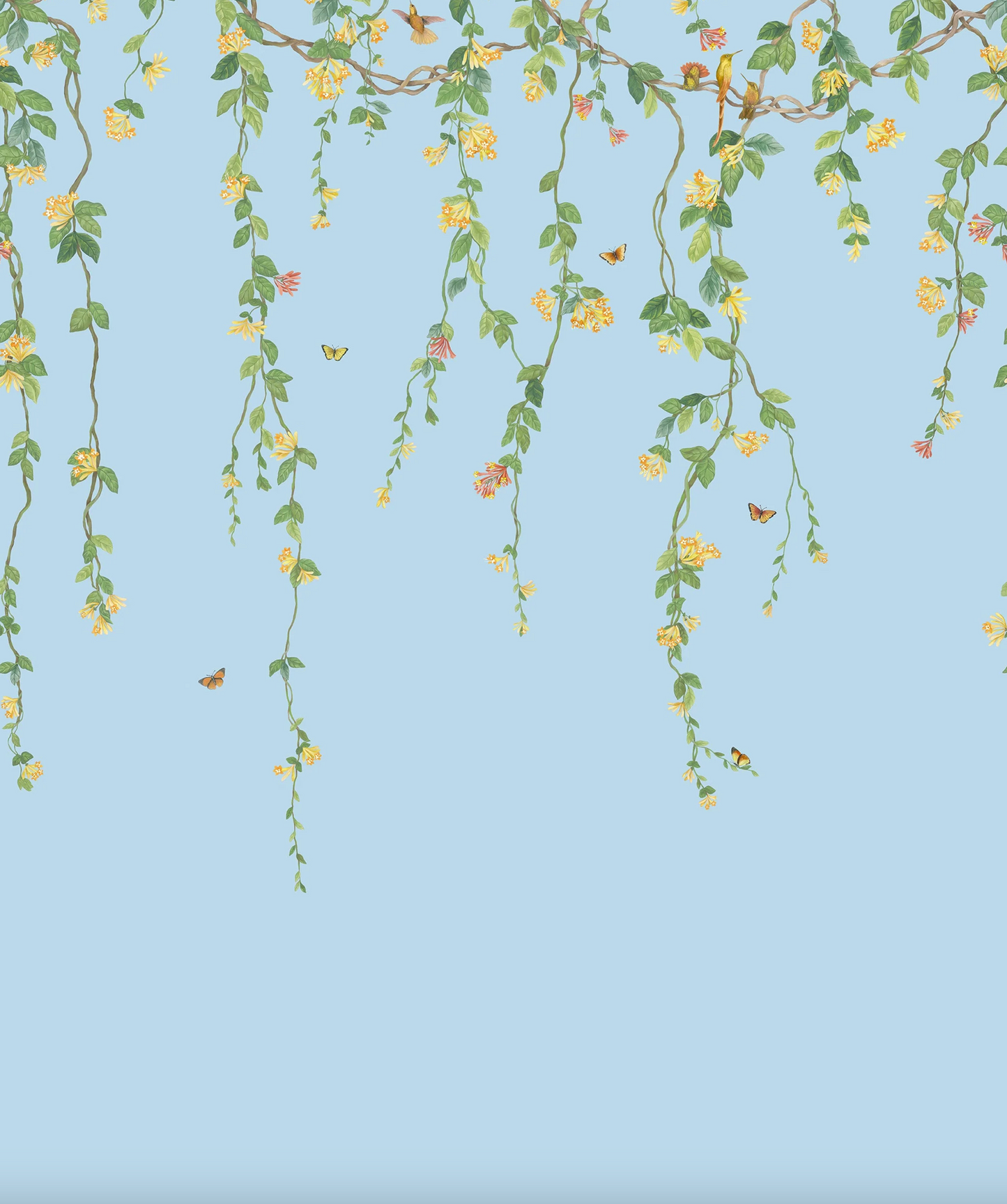 Cole & Son | Hummingbirds Flora